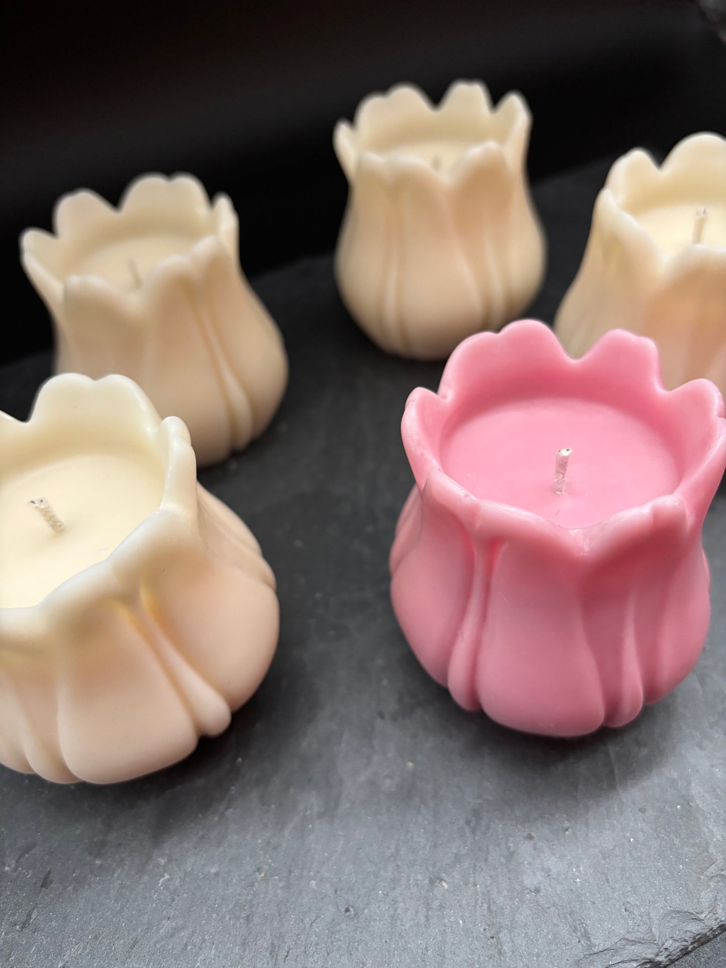 Blüten & Tulipa Kerzen