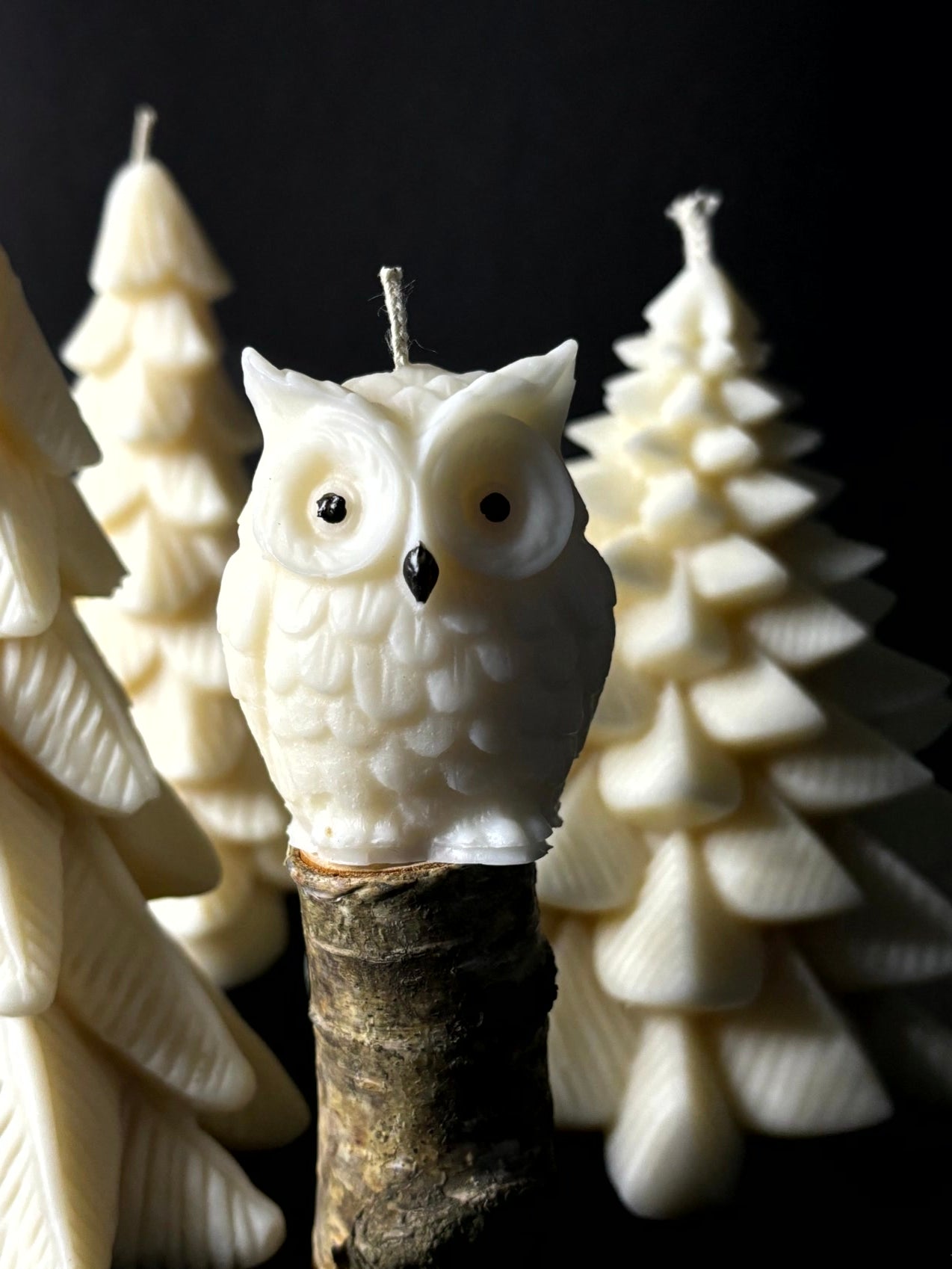 Eulen Kerze
