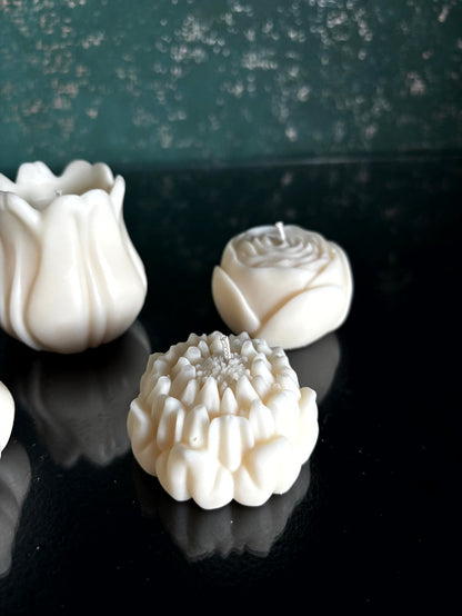 Blüten & Tulipa Kerzen