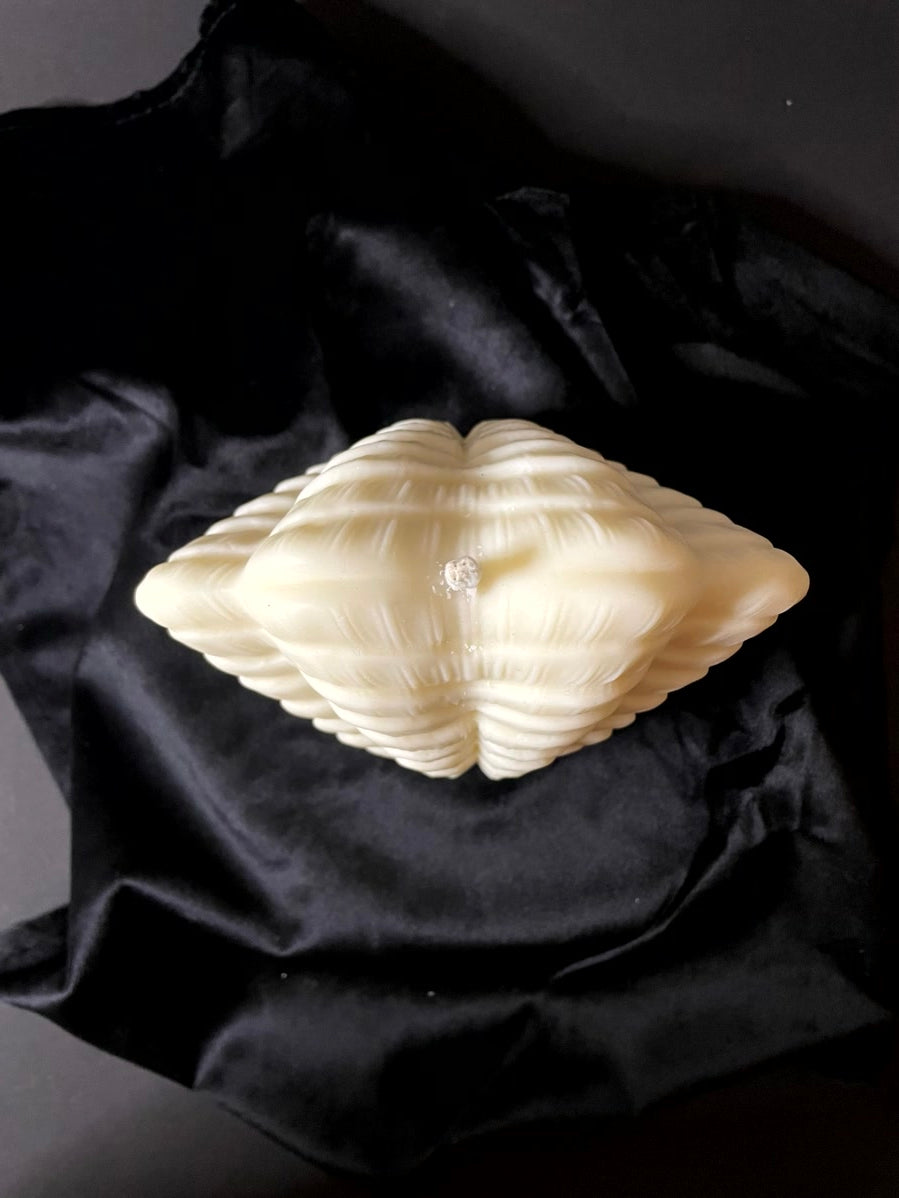 Mussla