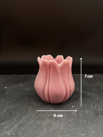 Blüten & Tulipa Kerzen